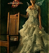 THE_HUNGER_GAMES_CATCHING_FIRE-000003.jpg