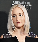 Filename=086.jpg
Filesize=124KiB
Dimensions=1800x1198
Date added=May 31, 2016 086.jpg