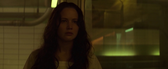 Mockingjay1_0100.jpg