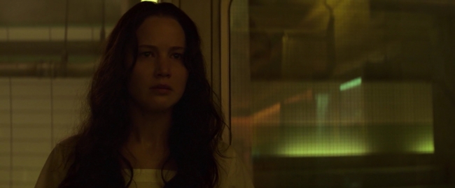 Mockingjay1_0101.jpg