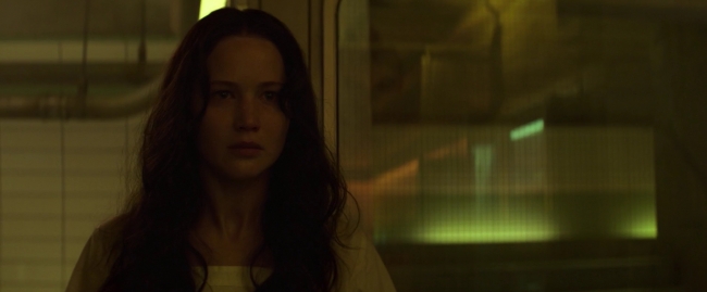 Mockingjay1_0116.jpg