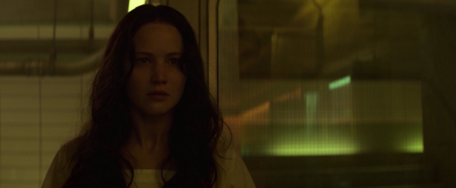 Mockingjay1_0117.jpg