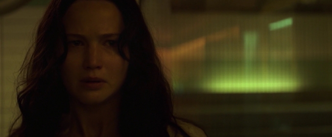 Mockingjay1_0138.jpg