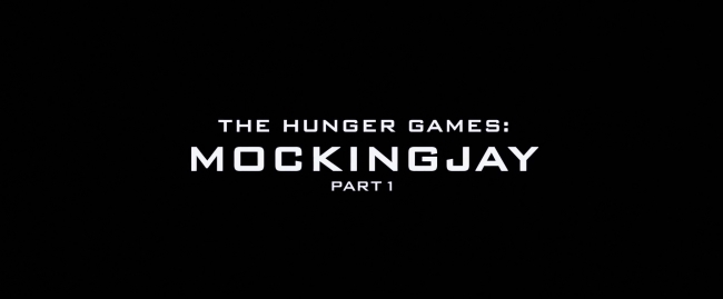 Mockingjay1_0139.jpg