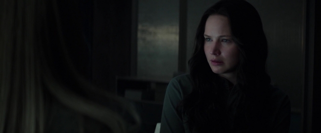 Mockingjay1_0307.jpg