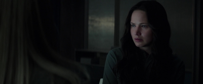 Mockingjay1_0308.jpg