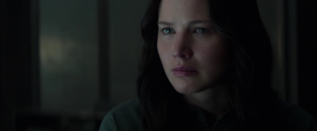 Mockingjay1_0322.jpg