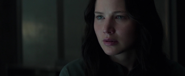 Mockingjay1_0330.jpg
