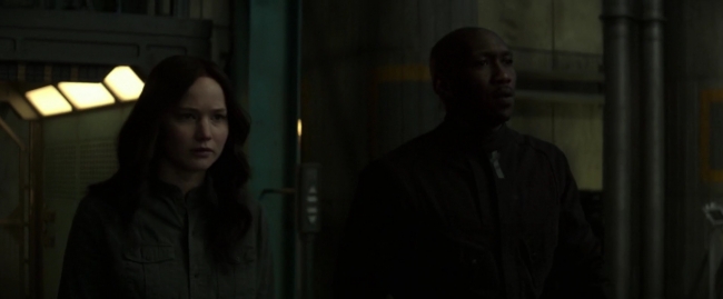 Mockingjay1_0410.jpg