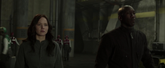 Mockingjay1_0419.jpg
