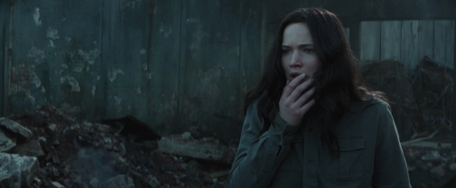 Mockingjay1_0576.jpg