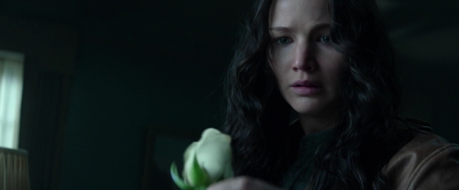 Mockingjay1_0698.jpg