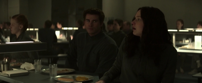 Mockingjay1_0951.jpg