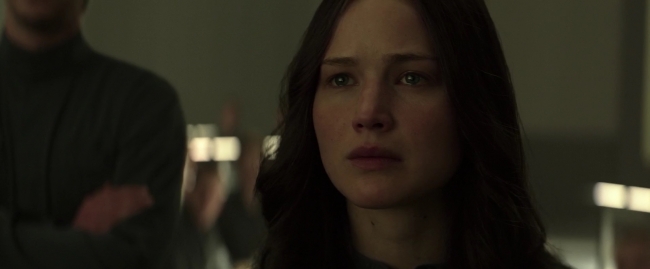 Mockingjay1_1010.jpg