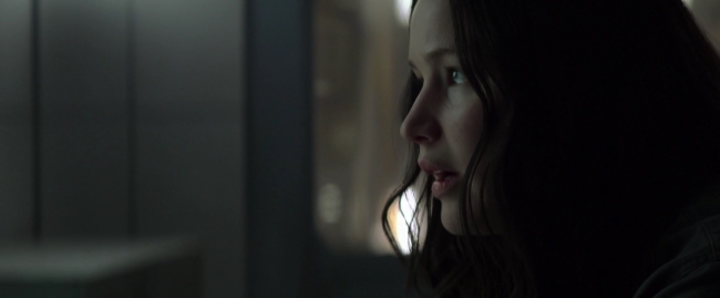 Mockingjay1_1108.jpg