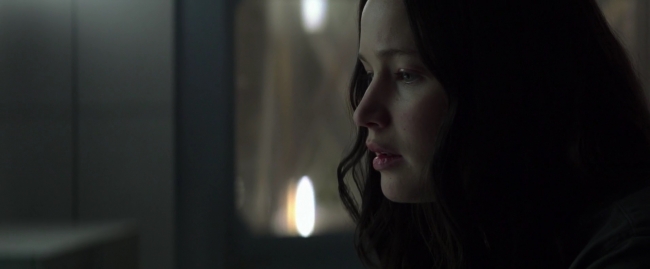 Mockingjay1_1123.jpg