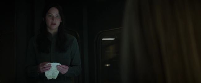 Mockingjay1_1252.jpg