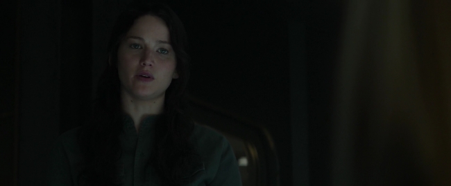 Mockingjay1_1265.jpg