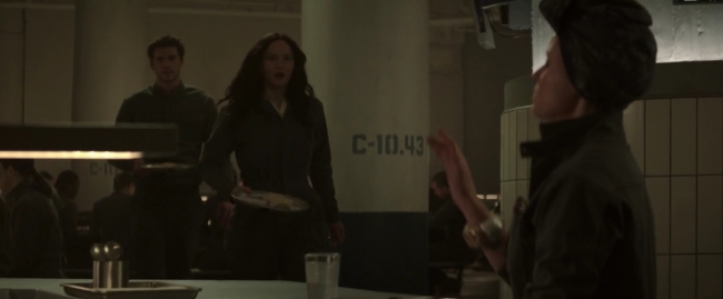 Mockingjay1_1524.jpg