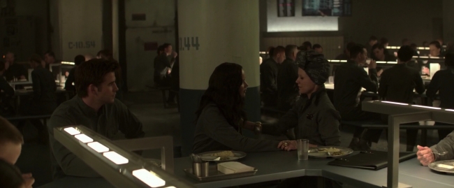 Mockingjay1_1534.jpg