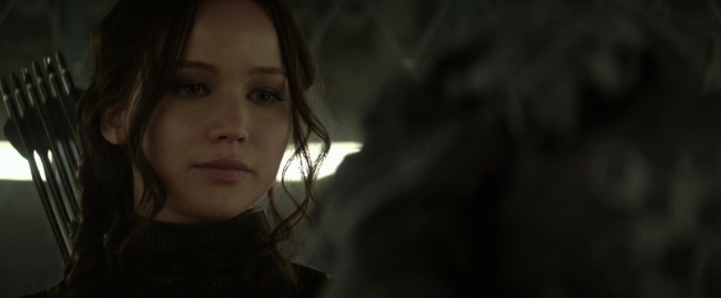 Mockingjay1_1643.jpg