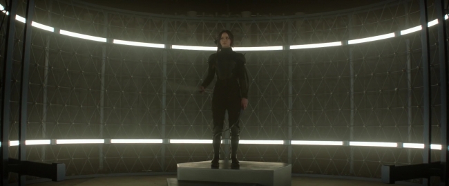 Mockingjay1_1664.jpg