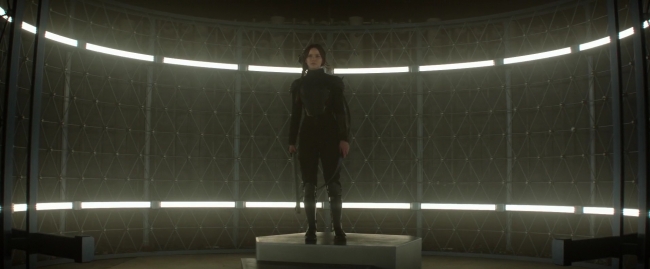 Mockingjay1_1666.jpg