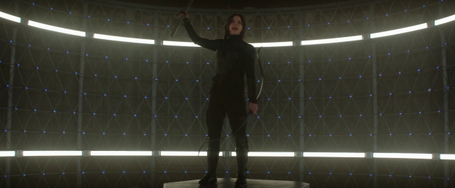 Mockingjay1_1690.jpg