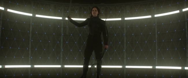 Mockingjay1_1706.jpg