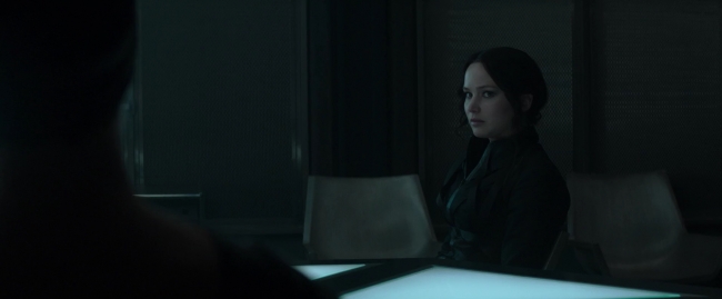 Mockingjay1_1776.jpg