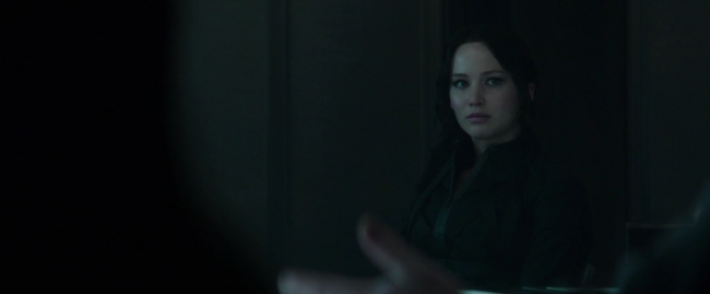 Mockingjay1_1819.jpg