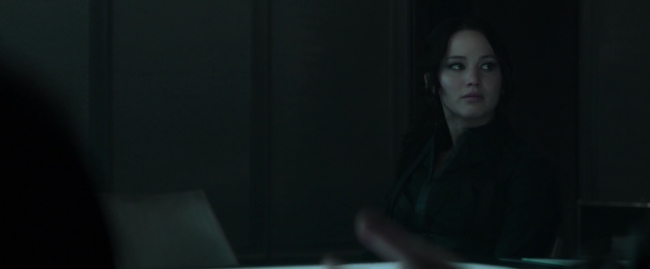 Mockingjay1_1836.jpg
