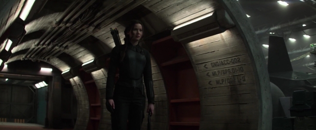 Mockingjay1_1922.jpg