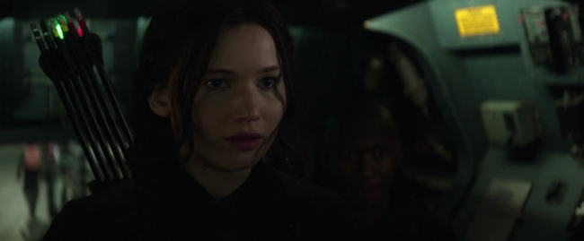 Mockingjay1_1984.jpg