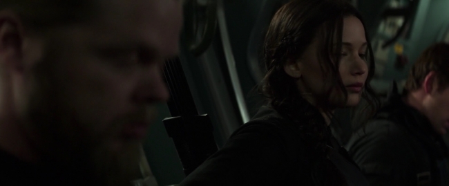 Mockingjay1_1991.jpg