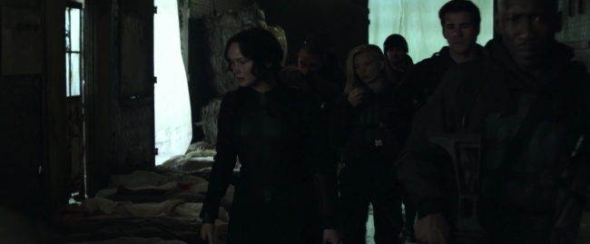 Mockingjay1_2085.jpg