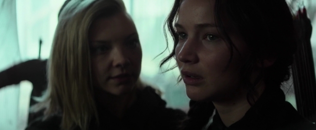 Mockingjay1_2113.jpg