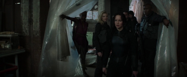Mockingjay1_2117.jpg