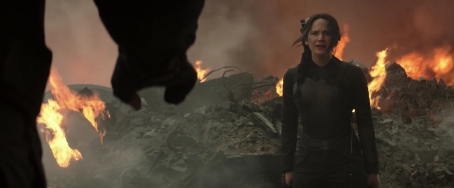 Mockingjay1_2432.jpg