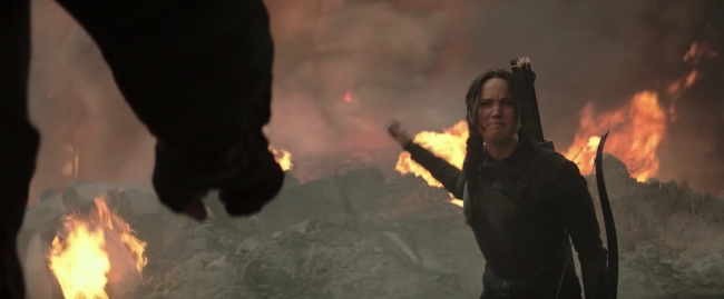 Mockingjay1_2448.jpg