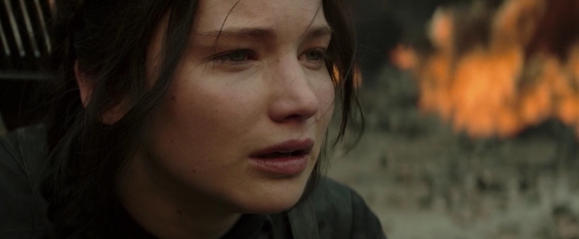 Mockingjay1_2480.jpg