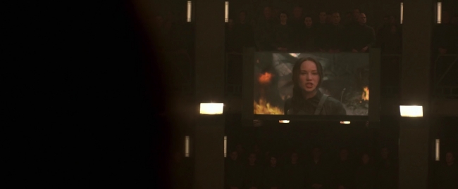 Mockingjay1_2492.jpg