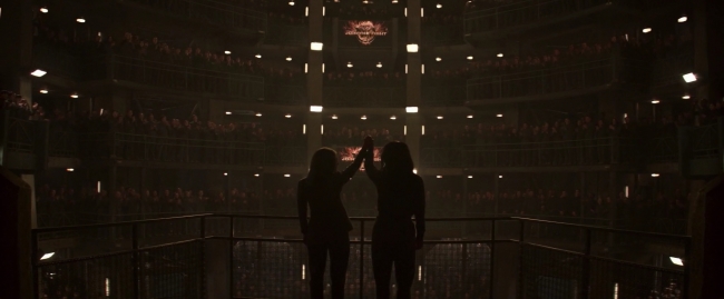 Mockingjay1_2542.jpg