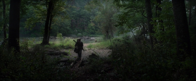 Mockingjay1_2695.jpg