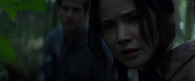 Mockingjay1_2737.jpg
