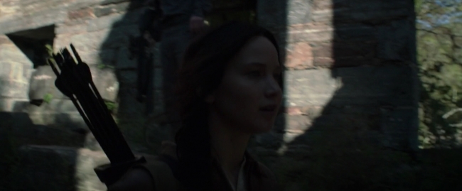 Mockingjay1_2751.jpg