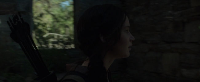 Mockingjay1_2752.jpg