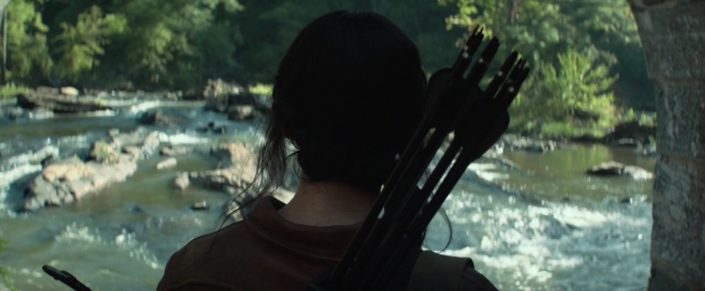 Mockingjay1_2756.jpg