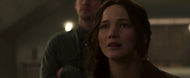 Mockingjay1_2876.jpg