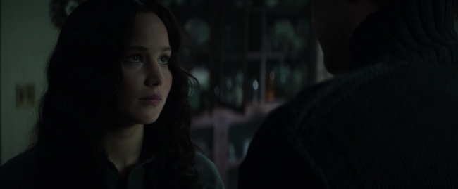 Mockingjay1_3120.jpg